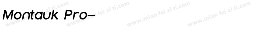 Montauk Pro字体转换